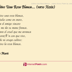 Marti poemas sencillo poema poems cultivo rosas cuban versos tengo apostol quiere hablar blancas robados relaciones sangra vajina protestar contra