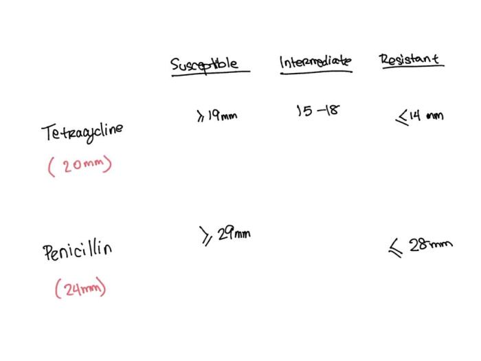 Staphylococcus infection aureus