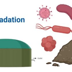 Which of the following topics is related to bioremediation