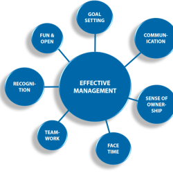 Organization effective questions leadership management strong effectiveness organizational bridgespan nonprofit five into